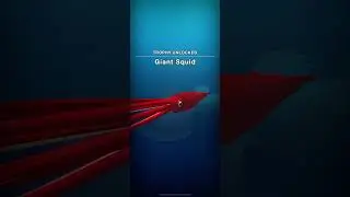 Getting The giant squid In Cells to singularity ￼￼