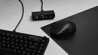 WALLHACK Q&A: Answering Your Questions about K-001 / M-001