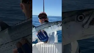 What a Day! Captain Tony Lands Two Mackerels in the Florida Keys #fishing #mackerelfish