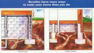 626-344-2464| Termite Exterminators Pasadena Specialist : South Pasadena