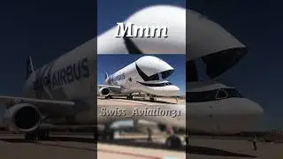 Airbus Beluga XL 🐋 | #aircraft #aviation #plane #avgeek #big #whale #beluga #airbus