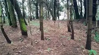 Perros ferales del Ajusco, festejando mi cumpleaños, 6 de Octubre del 2025
