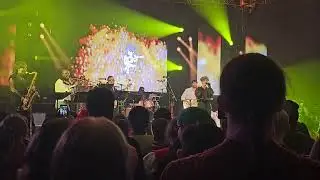 Rebecca Sugar - The Fry Song (Adventure Time), live at MagFest 1/8/26