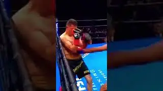 Stephen Fulton Jr: Monster Hunter #shorts #boxing #sports