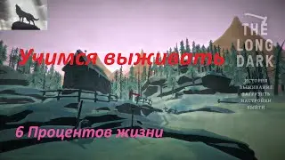 he long dark лечим отравление 6 процентов жизни