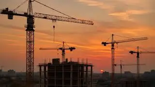 video from rawpixel id 17701670 sd