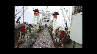 26 03 18 океанрыбфлот  -  большая рыбалка