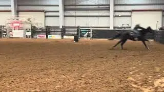 Chasing A Slick Time 1D Barrel Horse