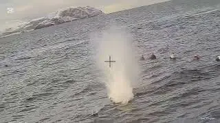 Eider hunt.   