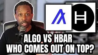 Algorand vs Hedera: Which Blockchain Wins in 2025?