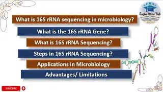 What is 16S rRNA sequencing in microbiology? | rRNA Gene | Steps | Applications | Limitations #rna