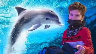 KALĖDINĖ PASAKA SU DELFINAIS. KLAIPĖDOS DELFINARIUMAS. KLASIOKAI