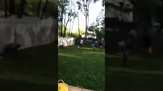 Backyard soccer game