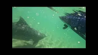 Cudgen Creek-Kingscliff NSW
