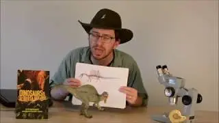 Was Spinosaurus bipedal or quadrupedal?