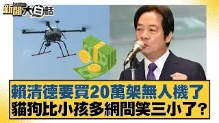 賴清德要買20萬架無人機了 貓狗比小孩多網問笑三小了？【#新聞大白話】20260119-7｜#侯漢廷 #陳揮文 #黃揚明