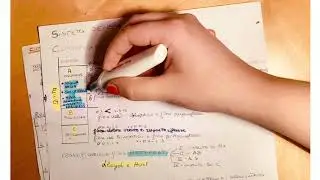 Fisiologia - Classificazione fibre nervose periferiche