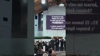 Fanfara Gloria Bujac Arad (Turneu America) Detroit 2025 #Fanfara #Music #BrassBand #Romania
