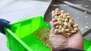 Air peanut blanching machine | Remove peanut red skin by air