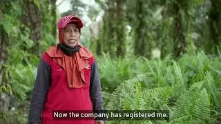 Supply chain change: Strategic approach to labour Inspection benefits Indonesia&rsquo;s palm oil sector