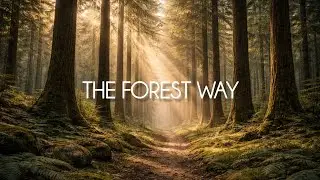 Forest Lessons for Business & Life Discipline