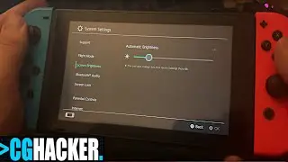 Nintendo Switch: How to Change Brightness!