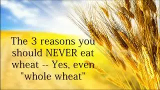 Never eat wheat
