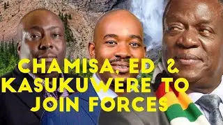 THE GOVERNMENT OF NATIONAL UNITY MIGHT BE THE SOLUTION TO ZIMBABWE#subscribe #zanupf #ccc #ED