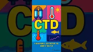Common Technical Document (CTD)