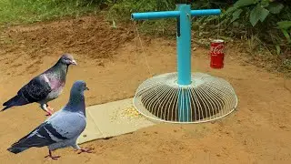 Technique Unique Trap: Creative Bird Trap Using Blue Tube With Electric Fan Guard