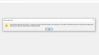 excel cannot open the file because the file format or file extension is not valid