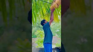 King coconut Bilimbi Juice 🥴 | #shorts #bilimbi #juice #food #india #viralshorts #kingcoconut