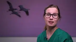 Tutkimukset minuutissa: Ahtaanpaikankammo magneettikuvauksessa