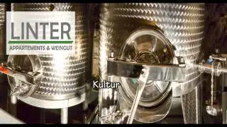 Appartementhaus & Weingut Linter