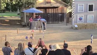 Farmers have found a gold mine &ndash; pig racing in the US.