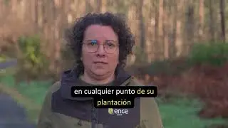 Ence Terra: acompa&ntilde;amiento al Propietario. Soledad Abelleira