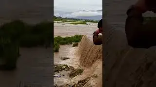 Barikot swat Flood 25-08-2022