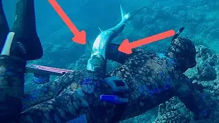 Big Hawaiian Fish Caught While Spearfishing!