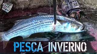 PESCA SUB alle Isole Eolie😎 Pesca apnea in 1 metro scena incredibile  - Pesca subacquea INVERNO 2020