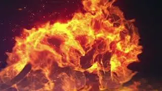 Fire Lion Logo Sting