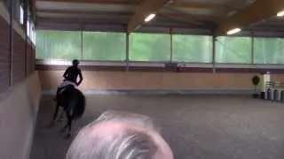 SA Equestrian 