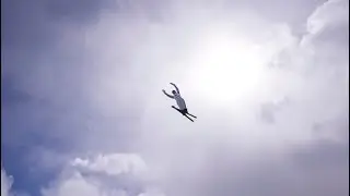 Freestyle skier Chris Lillis links visualization to victory