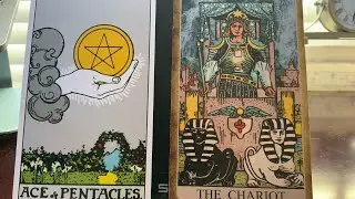 LEO ♌️ JANUARY MID MONTH. JOB OPPORTUNTIES OFFER MORE MONEY. SMALL DISAGREEMENTS PASS BY QUICKLY💵
