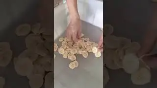 🍌 Banana Slicing Machine | Uniform Banana Round Cutting #bananachipsmachine #foodmachinery #cutter