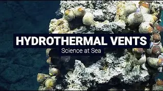 Deep-Ocean Bites: Hydrothermal Vents - Science at Sea