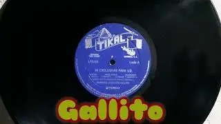 36 exclusivas para usted - Marimba orquesta Gallito