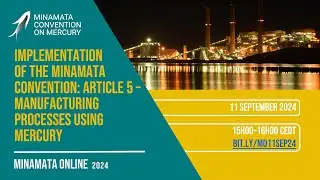 Minamata Online: Article 5 &ndash; Manufacturing Processes Using Mercury