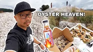 HAMA HAMA OYSTERS On Washington's OLYMPIC PENINSULA