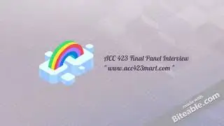 ACC 423 Final Panel Interview| mart | fast delivery