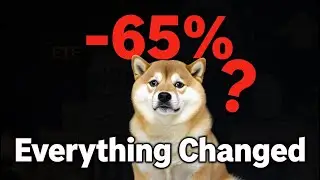 Обзор Dogecoin на 2025 год: политический, корпоративный, но падение на 65% | Wall Street Lens